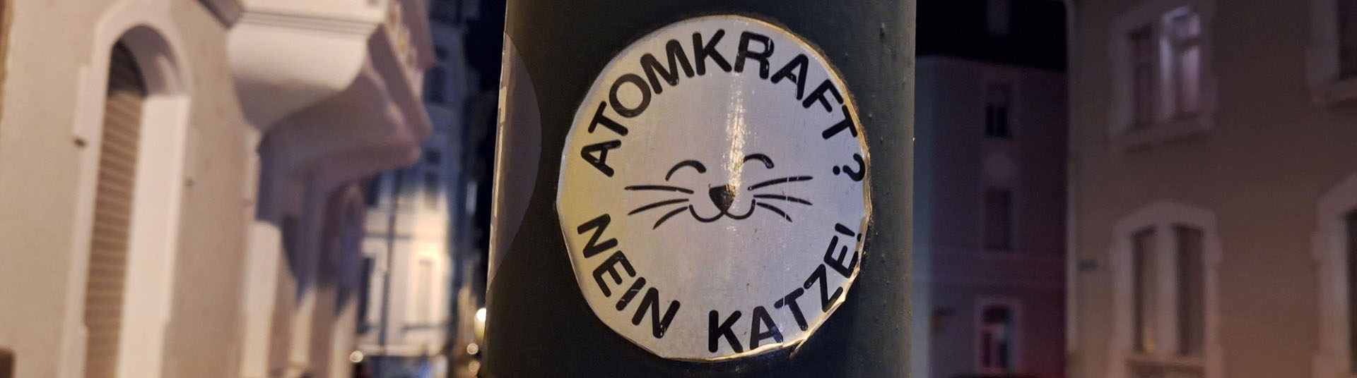 katze