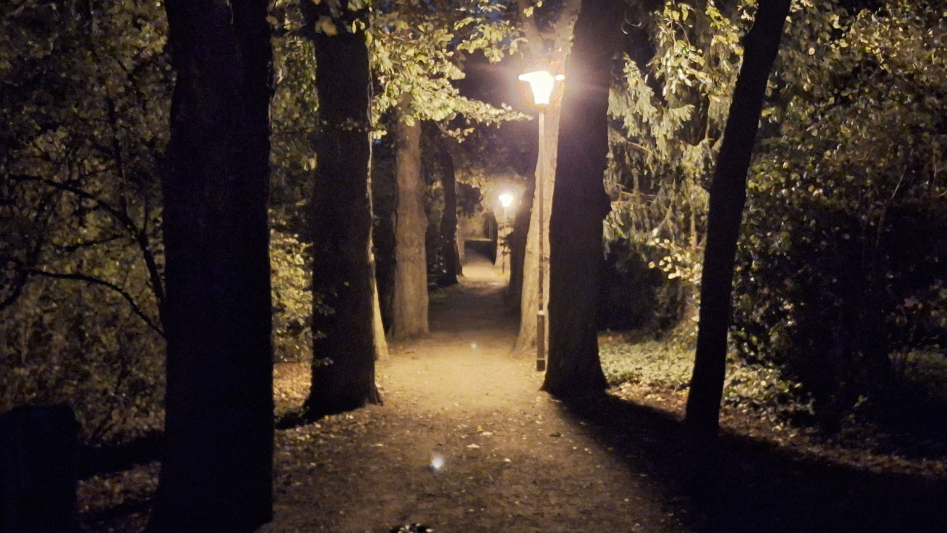 ruckweg